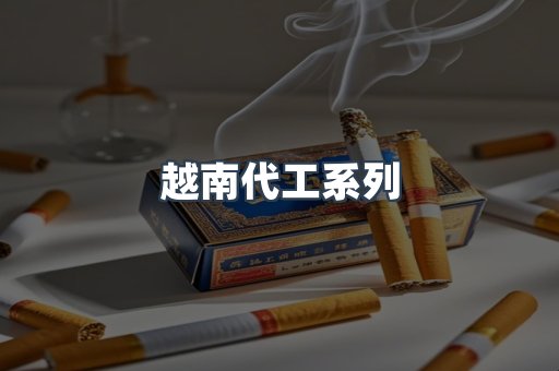 越南代工系列